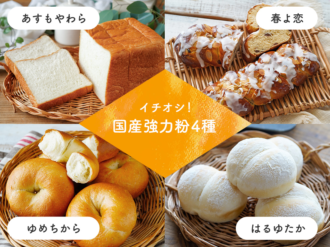 店舗良い 強力粉 粉屋のおいしいパン用粉 2.5kg 前田食品