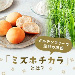 ミズホチカラ